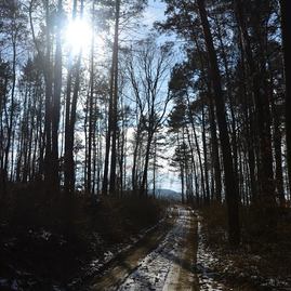 Vrchárska koruna Trenčianska