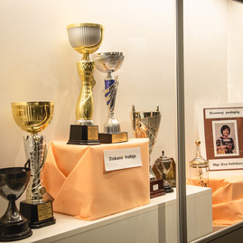 Zväčšiť fotografiu - Unikátna škola získala prezidentskú zelenú pečať - TSK_prezidentská pečať_SPŠ TN_mini-61