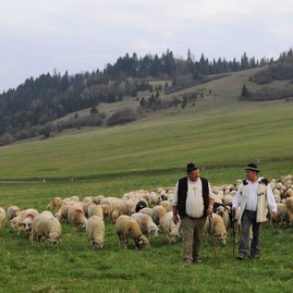 V experimentálnom odbore salašník, salašníčka študuje na soš pruské 12 študentov - Zdroj_TASR