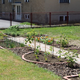 Zelená nie je len trenčianska župa. ekologické zmýšľanie preferujú už aj základné školy na jej území. - d