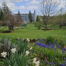 Zväčšiť fotografiu - Zelená škola budúcnosti: pruské získalo certifikát prírodná záhrada 2025