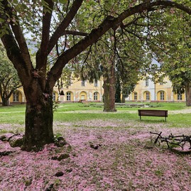 Zväčšiť fotografiu - Zelená škola budúcnosti: pruské získalo certifikát prírodná záhrada 2025