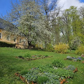 Zväčšiť fotografiu - Zelená škola budúcnosti: pruské získalo certifikát prírodná záhrada 2025