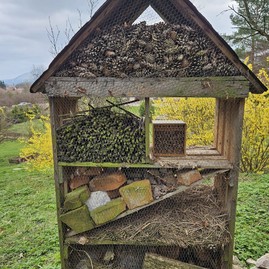 Zväčšiť fotografiu - Zelená škola budúcnosti: pruské získalo certifikát prírodná záhrada 2025