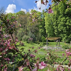 Zväčšiť fotografiu - Zelená škola budúcnosti: pruské získalo certifikát prírodná záhrada 2025