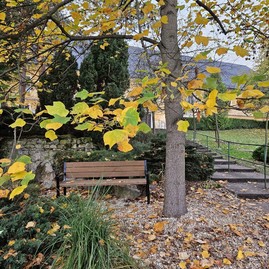 Zväčšiť fotografiu - Zelená škola budúcnosti: pruské získalo certifikát prírodná záhrada 2025