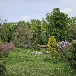 Zväčšiť fotografiu - Zelená škola budúcnosti: pruské získalo certifikát prírodná záhrada 2025