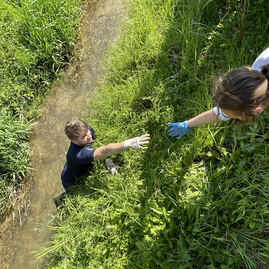 Zväčšiť fotografiu - Zelených škôl v kraji pribúda - čistenie potoka