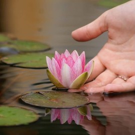 Zväčšiť fotografiu - Žiačky soš pruské uspeli v súťaži najkrajšia fotografia z územia mas