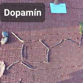 Zväčšiť fotografiu - Župa ponúka bezplatné vzdelávanie v oblasti envirovýchovy - 424982728_10159768792808730_2661506789959561486_n