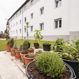 Zväčšiť fotografiu - Css - ave rok po rekonštrukcii, spokojní klienti aj zamestnanci - TSK_CSS AVE 22_mini (9 of 56)