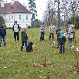 Farebná jeseň v parku - 22.11.2014 566_resize