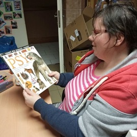 Zväčšiť fotografiu - Klienti css – kolonka mali počas novembra plne ruky práce - 2