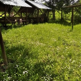 Zväčšiť fotografiu - S chuťou do záhrady s klientmi css – kolonka - 1