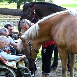 Zväčšiť fotografiu - Sociálna práca je pre nich životným poslaním