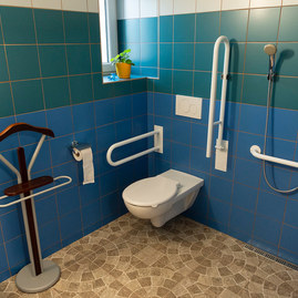 Zväčšiť fotografiu - Sociálne služby v kraji sa za posledné roky výrazne zlepšili - 20200821_TSK_089w