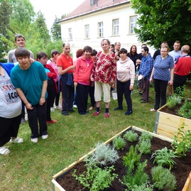 Zväčšiť fotografiu - V dss - adamovské kochanovce sa klienti nenudia - záhony 3