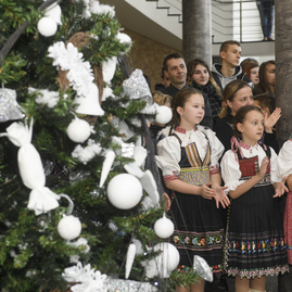 Vianočné srdce zelenej župy sa otvorí už po tretíkrát - 20161205_TN_TSK_zdobenie_stromceka_foto_Radovan_Stoklasa_022