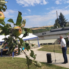 Zväčšiť fotografiu - Za polstoročie našlo v css – jesienka svoj druhý domov viac ako 1 600 ľudí - IMG_20220815_113038