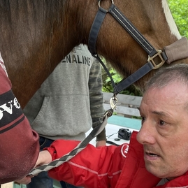 Zväčšiť fotografiu - Záchranné zložky aj hipoterapia