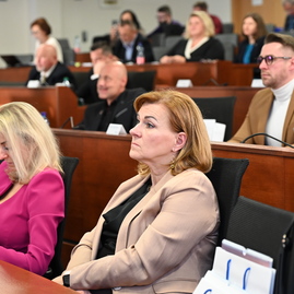 Zväčšiť fotografiu - Krajský parlament schvaľoval rozpočet, vo vestibule župného úradu pribudla nová busta - DSC_3767