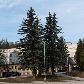 Zväčšiť fotografiu - Najmenšia župná nemocnica bude mať oddelenie multiodborovej intenzívnej starostlivosti - 20200217_MY_NsP_069w