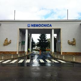 Zväčšiť fotografiu - Trenčianska župa zmodernizovala vstupy do svojich nemocníc - 1664798800709