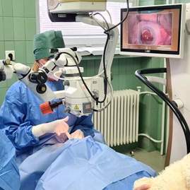 Zväčšiť fotografiu - V považskobystrickej nemocnici ako tretí na slovensku implementovali najnovšiu umelú šošovku - received_475018180605834