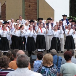 Sviatok folklóru na hornej nitre sa tešil mimoriadnemu záujmu divákov - Fs senior vtacnik prievidza