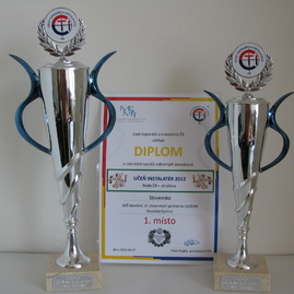 Medzinárodné úspechy považskobystrických stavbárov, inštalatérov a pokrývačov - Ocenenie inatalater