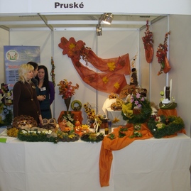 Soš pruské na jahrade 2011 trenčín
