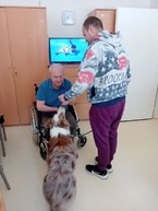 Zväčšiť fotografiu - V centrách sociálnych služieb využívajú terapeutický účinok psov i hier