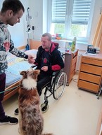 Zväčšiť fotografiu - V centrách sociálnych služieb využívajú terapeutický účinok psov i hier