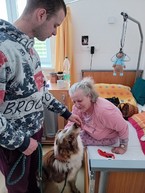 Zväčšiť fotografiu - V centrách sociálnych služieb využívajú terapeutický účinok psov i hier