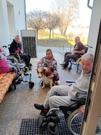 Zväčšiť fotografiu - V centrách sociálnych služieb využívajú terapeutický účinok psov i hier