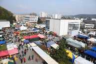 Adventný kalendár tsk 2017, deň dvadsiatytretí – 23. ročník záhradkár 2017 - 20170405_TN_Zahradkar_foto_Radovan_Stoklasa_001w