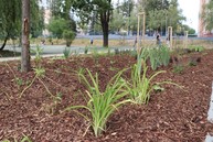 Zväčšiť fotografiu - Bánovce nad bebravou otvorili park, dohňany žili cyrilometodskými slávnosťami