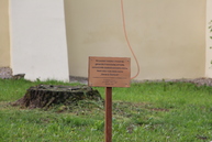 Bradliansky región spojila celonárodná spomienka na štefánika - IMG_1349