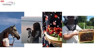 Zväčšiť fotografiu - Ceremoniál oceňovania v rámci dofe tento rok po prvýkrát v on-line podobe - Bez názvu3