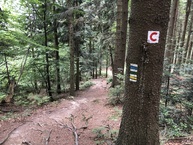 Zväčšiť fotografiu - Cyklisti sa môžu tešiť na obnovené aj nové značenie trás - IMG_2609