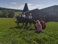 Zväčšiť fotografiu - Detský týždeň v považskobystrickom zariadení sociálnych služieb bystričan - Papradno - kone