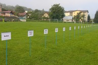Duševnú i fyzickú kondíciu seniorom z okresu považská bystrica môžu závidieť aj mladšie ročníky. dôkazom bol v poradí 5. ročník olympiády seniorov - IMG_0005