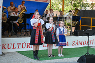 Zväčšiť fotografiu - Dychová hudba textilanka z trenčína oslávila pol storočie, ocenili aj zakladajúcich členov - DSC_0234