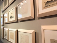 Zväčšiť fotografiu - Gmab v trenčíne rozšírila stálu expozíciu bazovského o kabinet kresby - IMG_5881