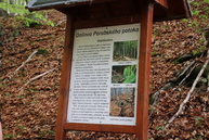 Zväčšiť fotografiu - Hviezdicový výstup na maguru otvoril turistickú sezónu, hasiči v lúkach oslávili jubileum - IMG_7971