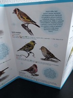 Zväčšiť fotografiu - Inovačný program v rámci akreditovaného envirovzdelávania má prvých úspešných absolventov - 20220215_132246