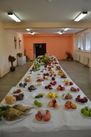 Jediná poľnohospodárska škola v kraji opäť otvorila svoje brány, príležitosť nahliadnuť za školské múry využilo viac ako 970 návštevníkov - DSC_5643