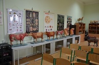 Jediná poľnohospodárska škola v kraji opäť otvorila svoje brány, príležitosť nahliadnuť za školské múry využilo viac ako 970 návštevníkov - DSC_5673