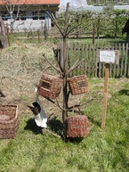 Mačovské gazdovské dvory 2016 - 20