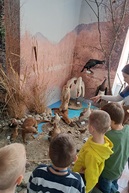 Zväčšiť fotografiu - Múzeum sa ponorilo do vodných tajomstiev